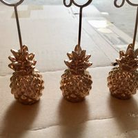 Porte nom ananas 
