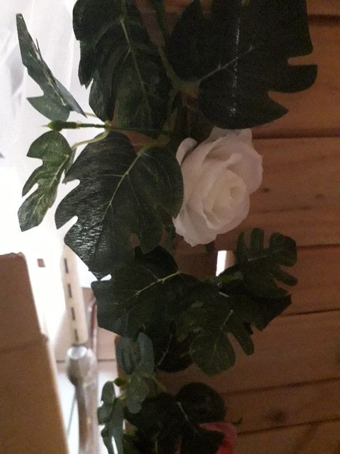 Plantes artificielles - 2