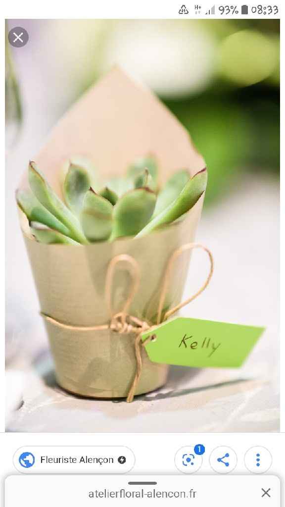 Décoration pot de plantes grasses 🌵 - 2