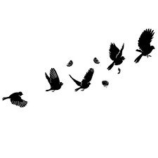 Oiseaux - TatoO 1
