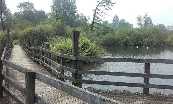 Toujours ecouter son papa!! - 1