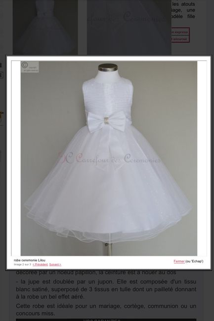 Quelles robes avez vous choisit pour vos témoins et petite filles d'honneur? - 1