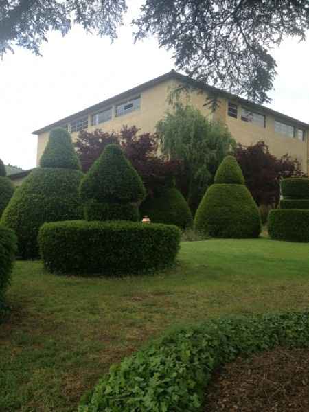 Décorations escalier et jardin  - 1