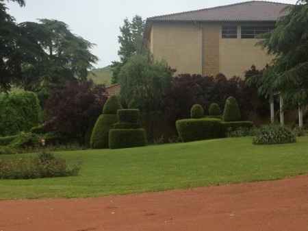 Décorations escalier et jardin  - 4