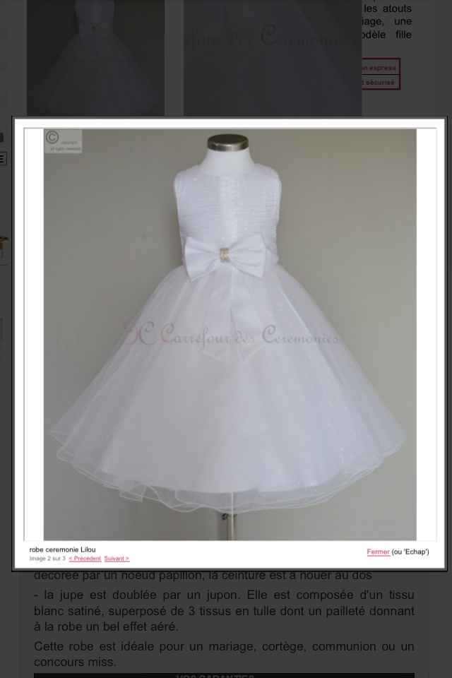 Quelles robes avez vous choisit pour vos témoins et petite filles d'honneur? - 1