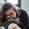 Romane