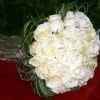 roses blanche  pour un jour particulier
