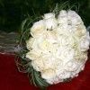 roses blanche  pour un jour particulier