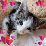 Magaly