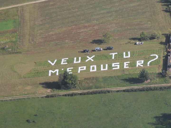 demande en mariage dans l'avion.