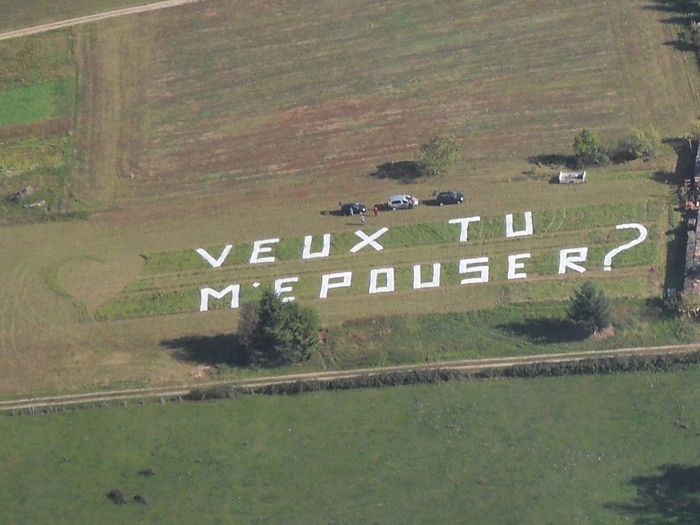 demande en mariage dans l'avion.