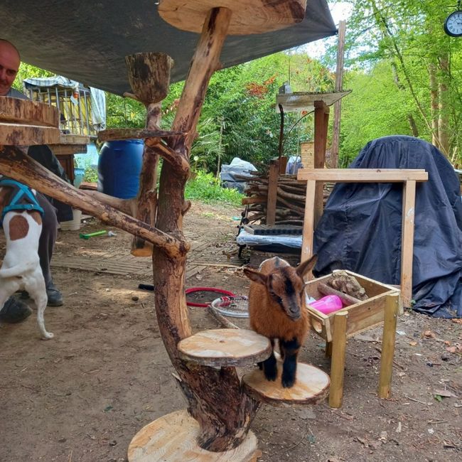 Support pour mes dragées 2