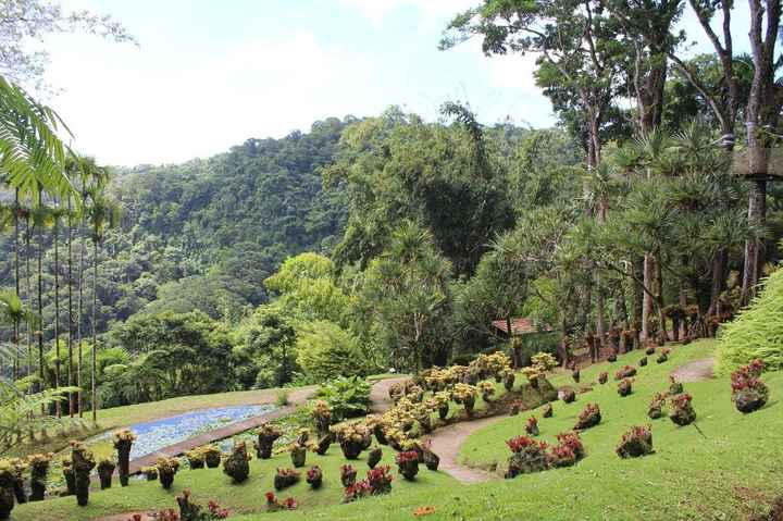 Martinique : jardin de Balata
