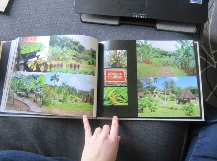 album vdn