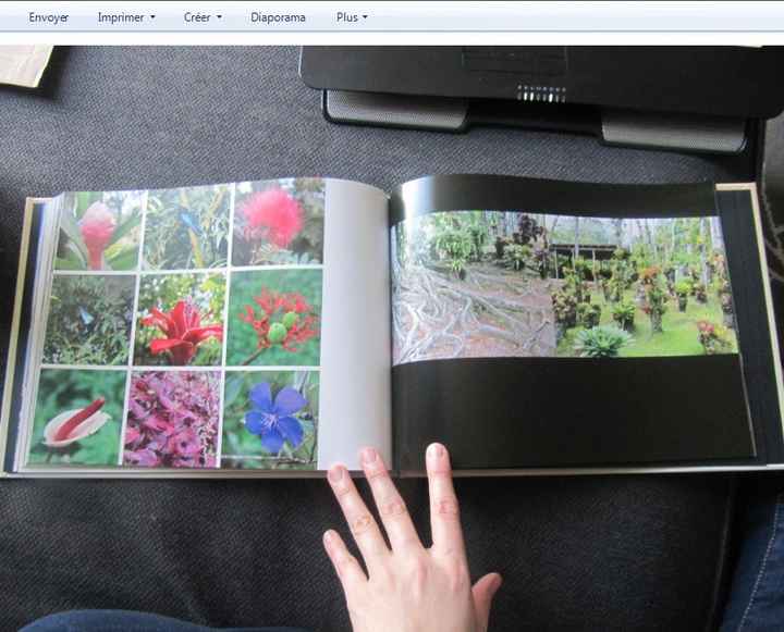 album vdn