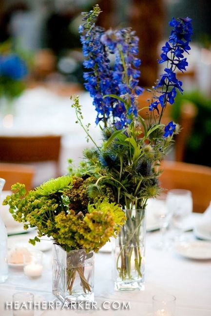 Bleu et vert