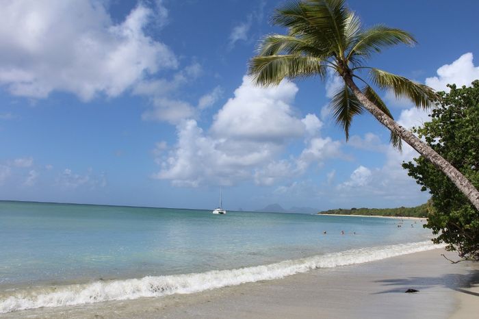 Martinique : Plage des Salines