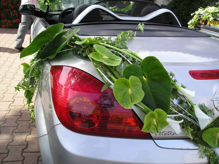 idee pour ma voiture