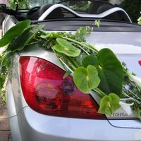 idee pour ma voiture