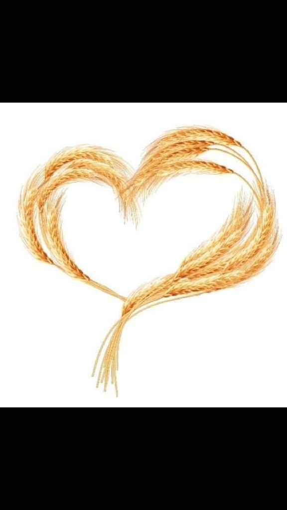 Besoin d avis pour mon logo - 1