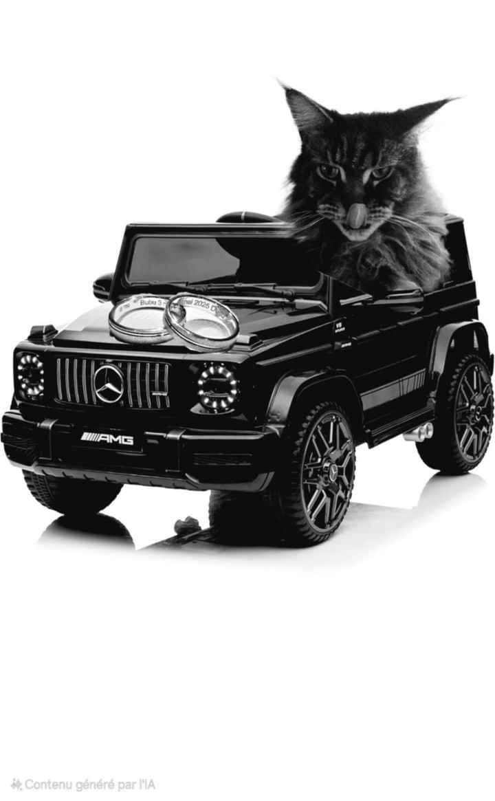 Gazette des mariés - 1