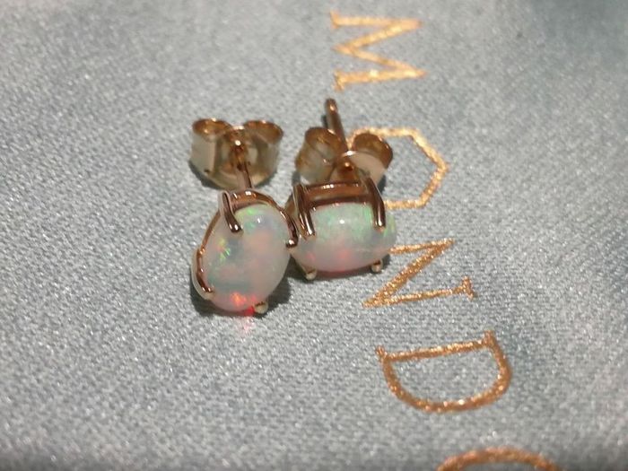Puces d'oreilles