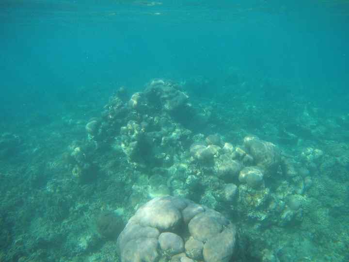 Plongée île aux bénitiers 2