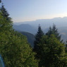 Zouhaier
