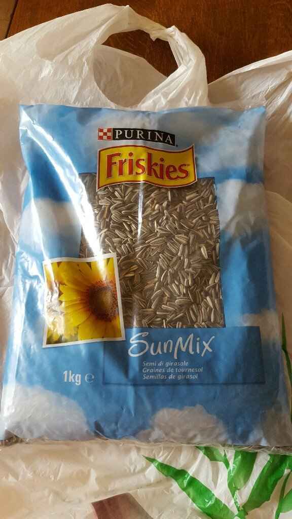 Graine de tournesol - 1