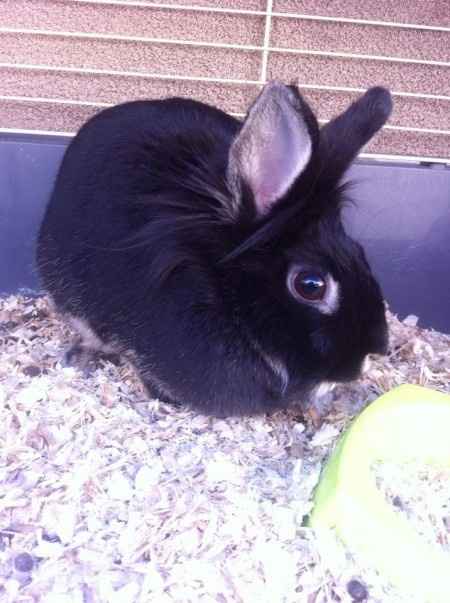 Ma Kinder