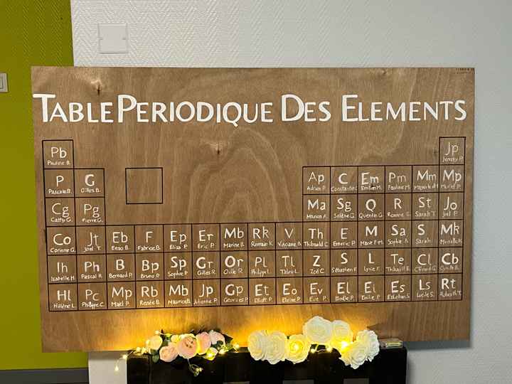 Une journée fabuleuse - Notre petit mariage sur le thème de la Chimie partie 2 - 2