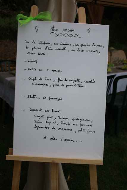 Notre merveilleuse journée de fiançailles - 4