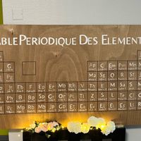 Une journée fabuleuse - Notre petit mariage sur le thème de la Chimie partie 2 - 2