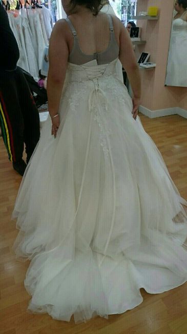  Montrez moi vos robes Princesse !! - 2