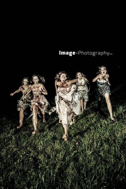 Mariage Walking Dead / Zombie 27