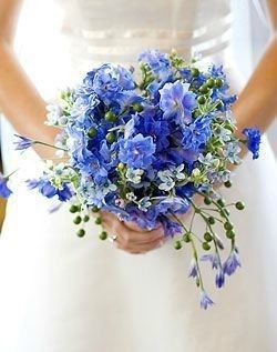 Robe et bon bouquet ? - 4