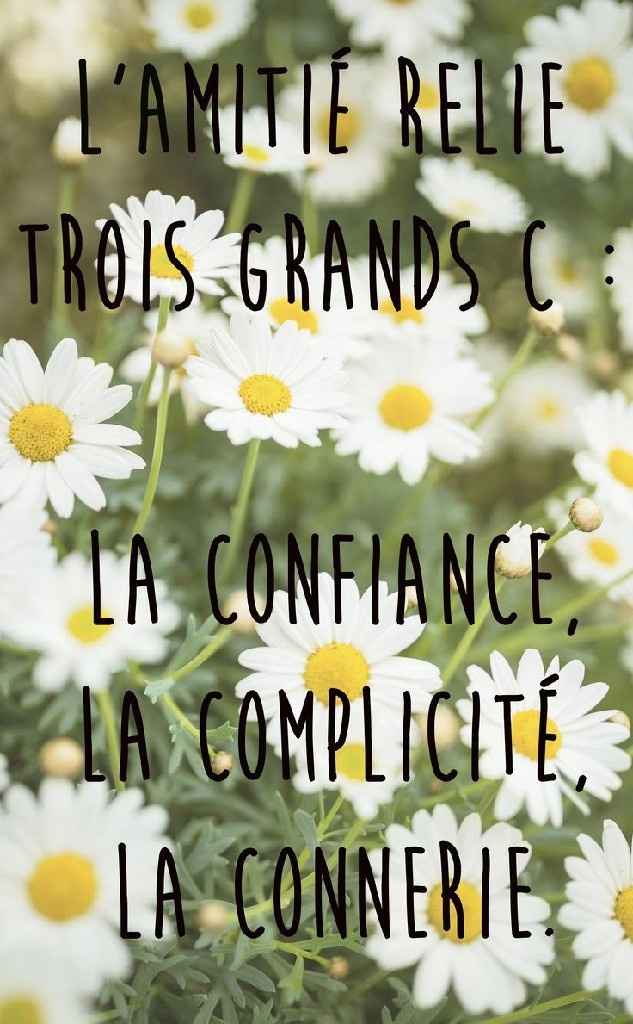 Je cherche une citation - 4