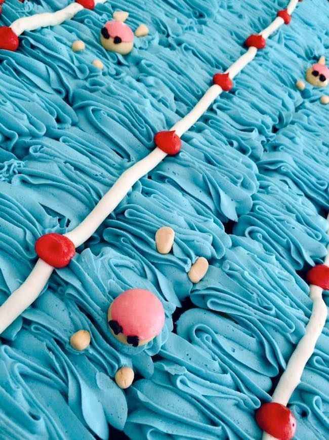 Inspiration natation - 17