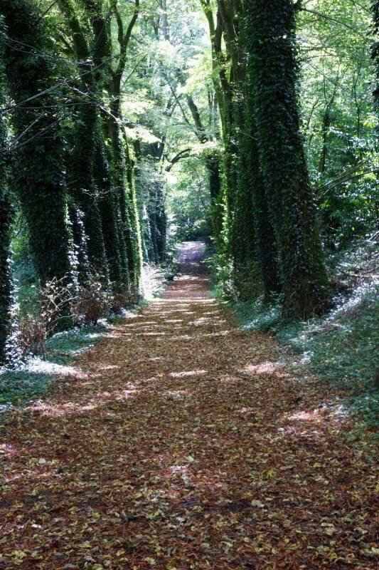  Salle enfin trouvé - 1