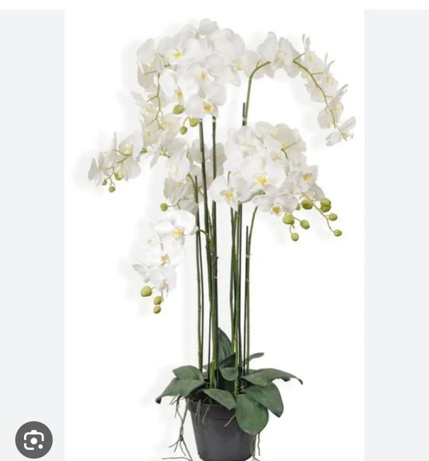 Décoration thème orchidées 3
