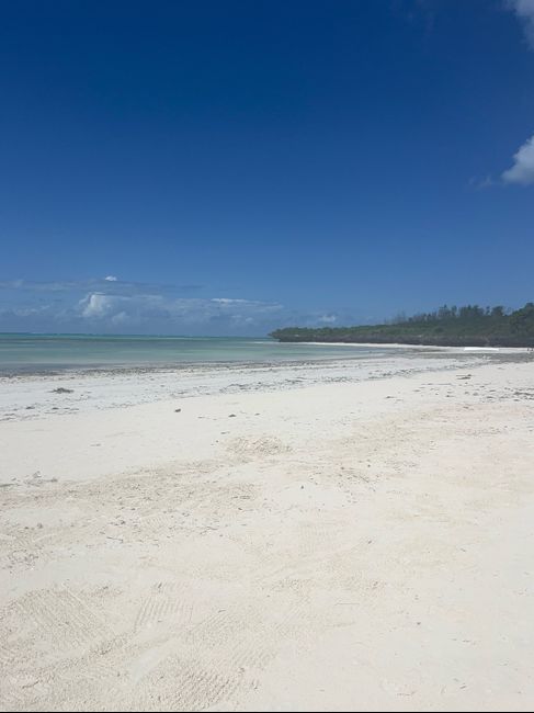 Zanzibar suite ! - 8