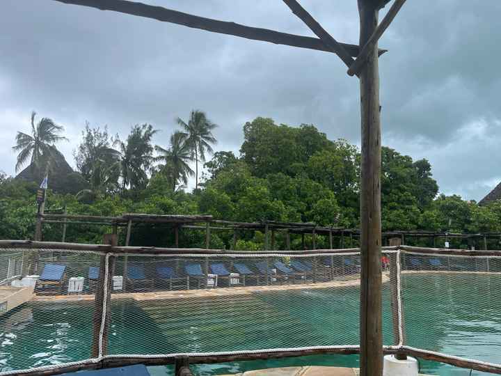 Zanzibar suite ! - 2