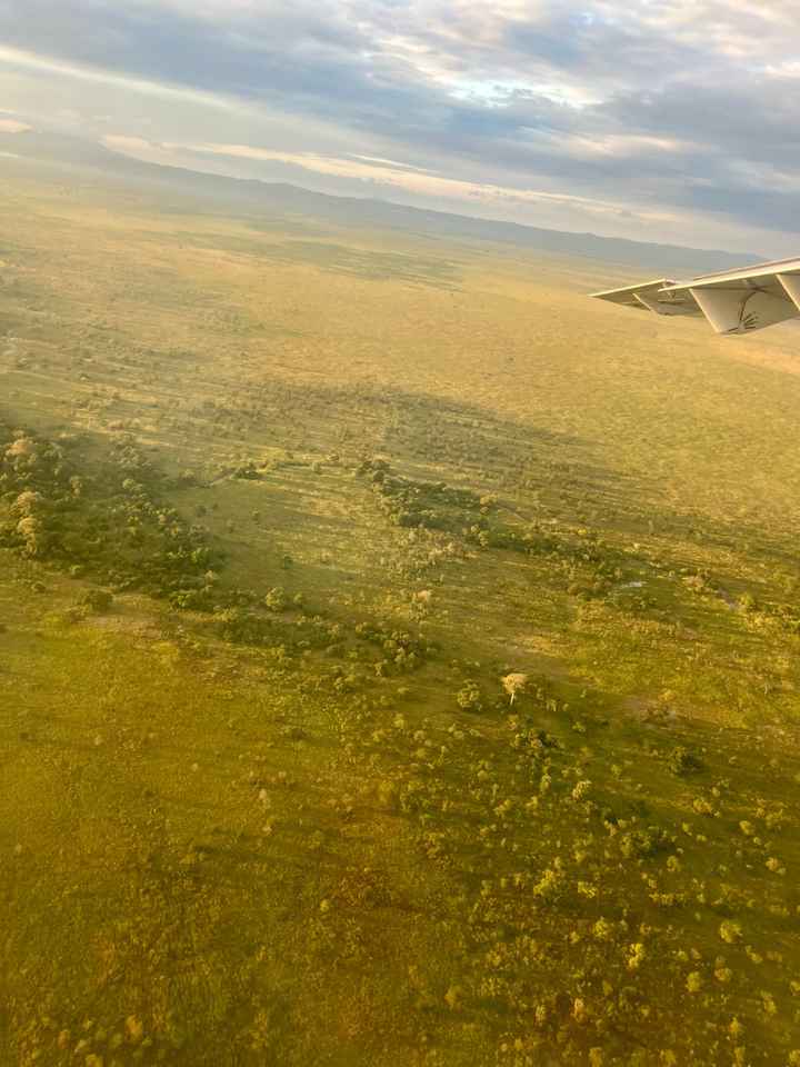 Zanzibar et Tanzanie - 3