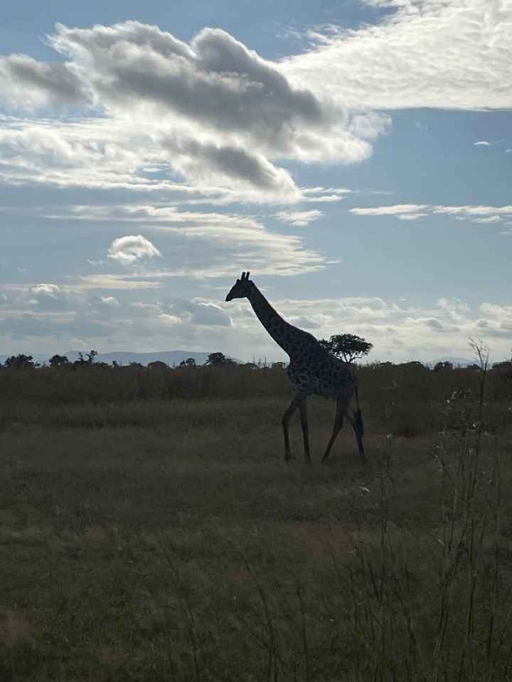 Zanzibar et Tanzanie - 6