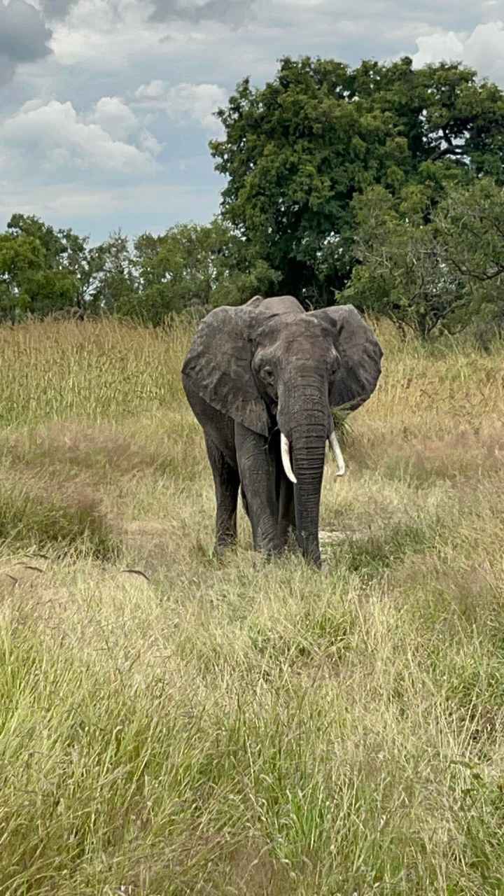 Zanzibar et Tanzanie - 7