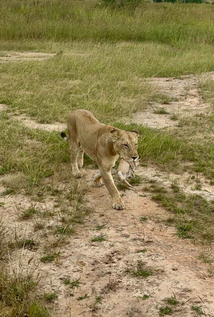 Zanzibar et Tanzanie - 8