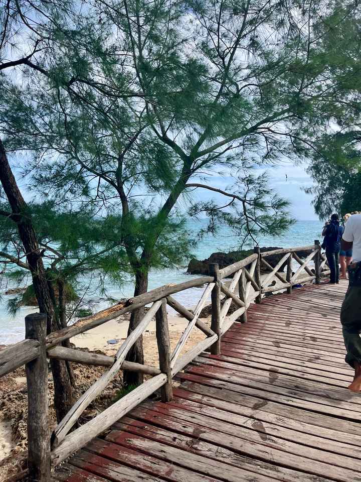 Zanzibar et Tanzanie - 16