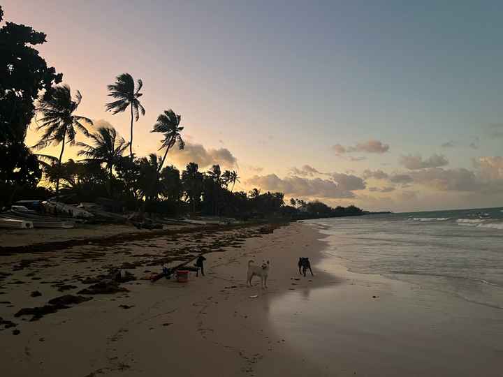 Destination voyage de noces - 2