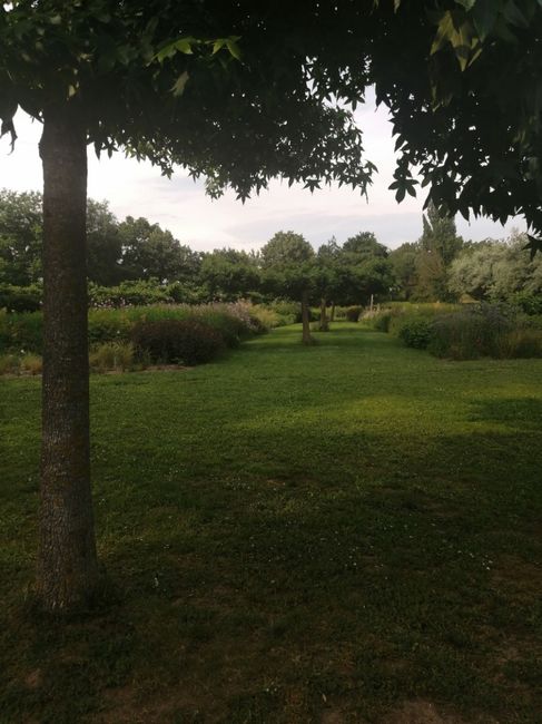 Jardin du temps à illzach 4