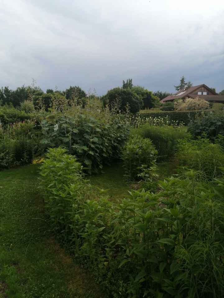 Jardin du temps à illzach - 3